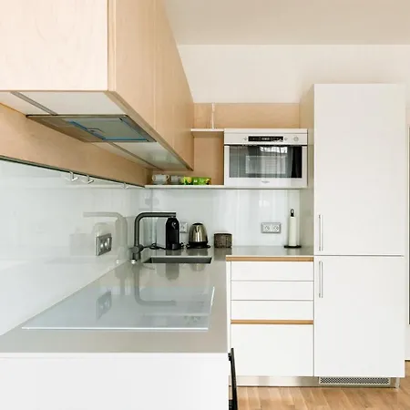 Apartment Brno Апартаменты Брно